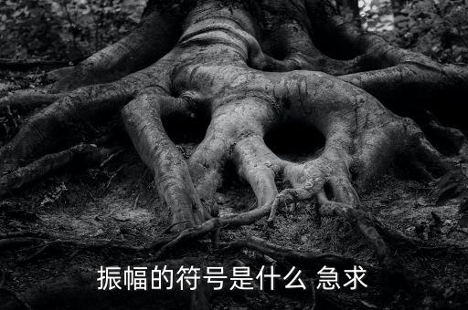 什么振幅，振幅的符號(hào)是什么 急求