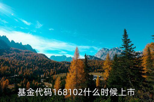 168101基金什么時候上市，基金代碼168102什么時候上巿