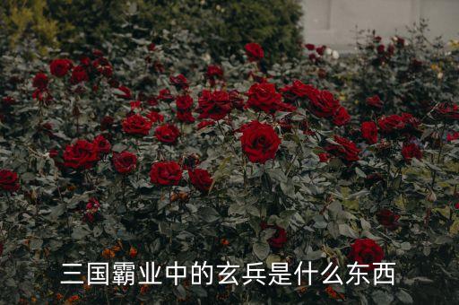 漢鼎宇佑是什么，Abercrombie是什么牌子