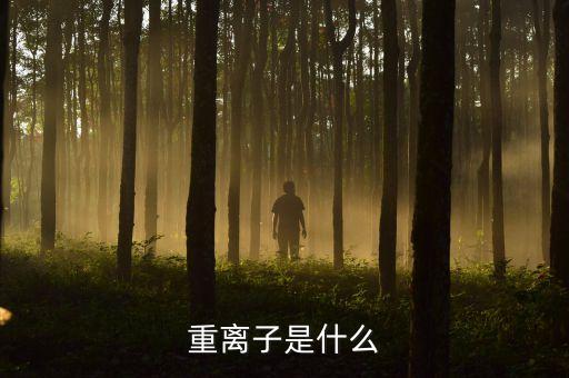 質子重離子是什么意思，重離子是什么
