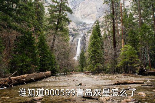 青島雙星什么時候復(fù)牌，000560各位大神知道啥時候復(fù)牌