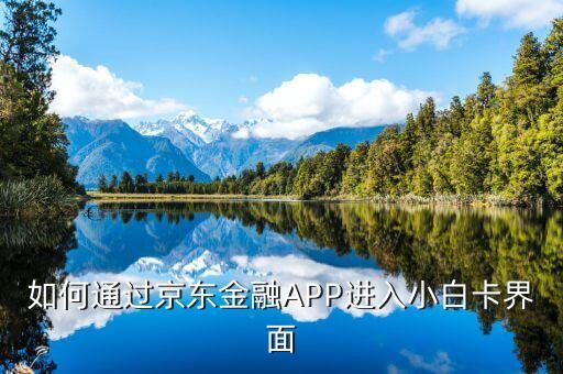 登陸京東金融后進入什么頁面，京東金融app借錢界面在哪里啊