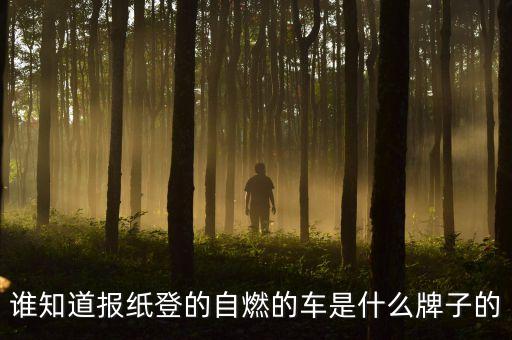 延安路轎車自燃什么牌子的車，誰知道報(bào)紙登的自燃的車是什么牌子的