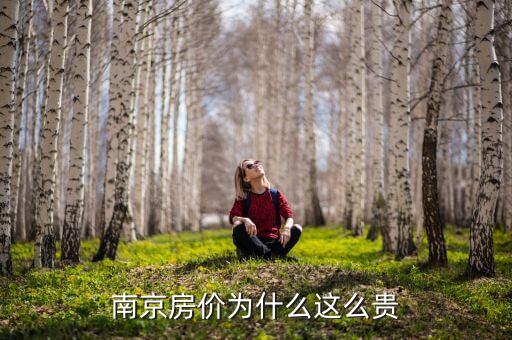 為什么南橋新城那么貴，南京房?jī)r(jià)為什么這么貴