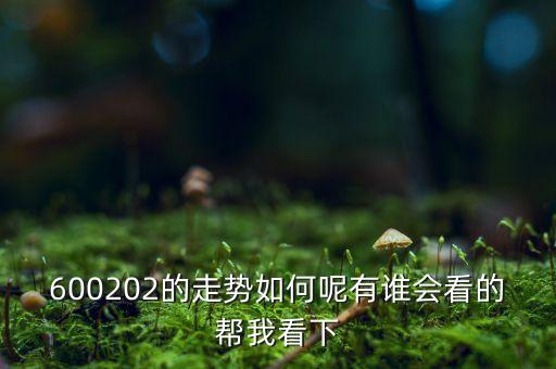 600202有什么概念，誰能幫我分析一下600202