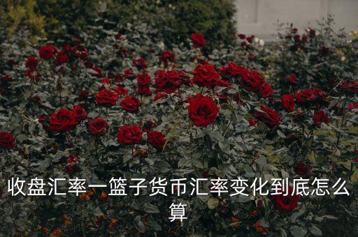 cfets貨幣籃子是什么，CF中籃子和UT代表什么