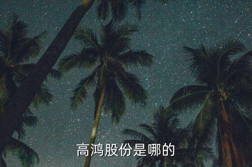 高鴻股份股票什么時候開，300500高瀾股份什么時候上市