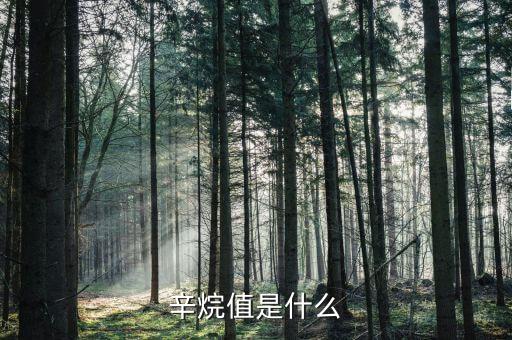 最大辛烷值桶收率是什么，有錢(qián)MM都看得懂的科普 辛烷值和壓縮比什么關(guān)系