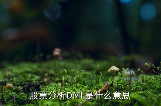 dml指標(biāo)什么意思，怎樣看懂股票dml線