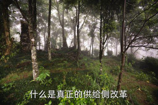 供給側(cè)改革的實(shí)質(zhì)是什么，如何理解供給側(cè)改革