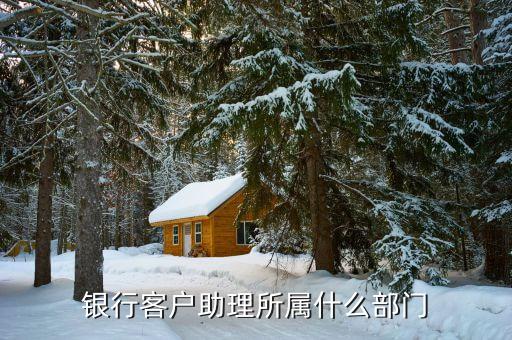 律所在銀行屬于什么客戶，銀行客戶助理所屬什么部門