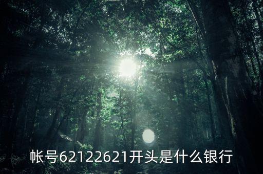 621462開頭是什么銀行，6214開頭是什么銀行