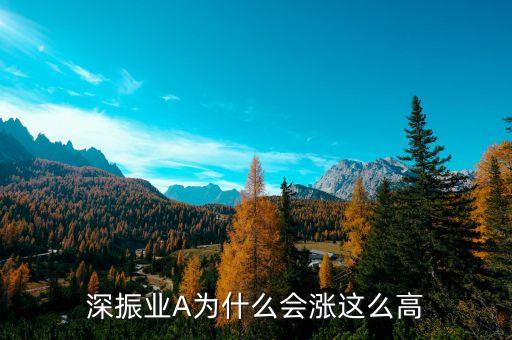 深振業(yè)a你什么股票吖，股票深振業(yè)A今天為什么停牌