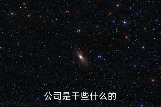 做什么的公司，公司是干些什么的