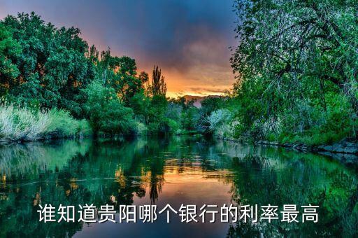 誰(shuí)知道貴陽(yáng)哪個(gè)銀行的利率最高
