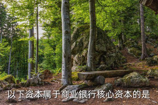 商業(yè)銀行核心資本是什么，商業(yè)銀行的核心資產(chǎn)包括哪些謝謝