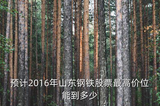 山東鋼鐵股票歷史最高什么價錢，預計2016年山東鋼鐵股票最高價位能到多少