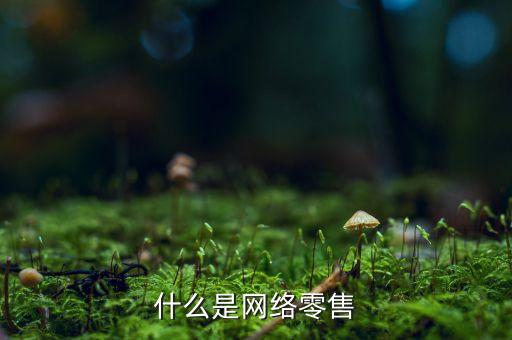 什么是網絡零售