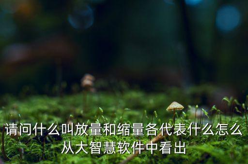什么是放量和縮量圖片，請(qǐng)問什么叫放量和縮量各代表什么怎么從大智慧軟件中看出