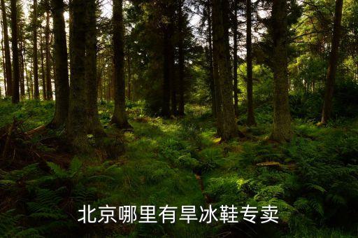 北京哪里有旱冰鞋專(zhuān)賣(mài)