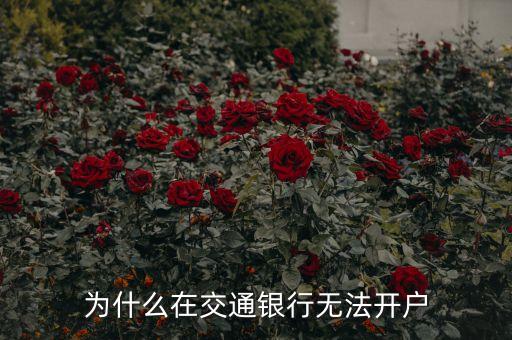 交通銀行為什么沒有開放性問題，國有四大銀行為什么沒有交通銀行