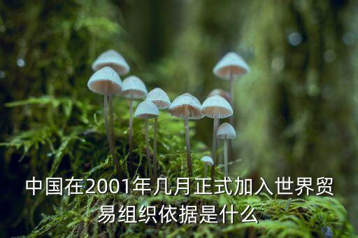 中國是什么時候加入gatt，中國是什么時間加入的