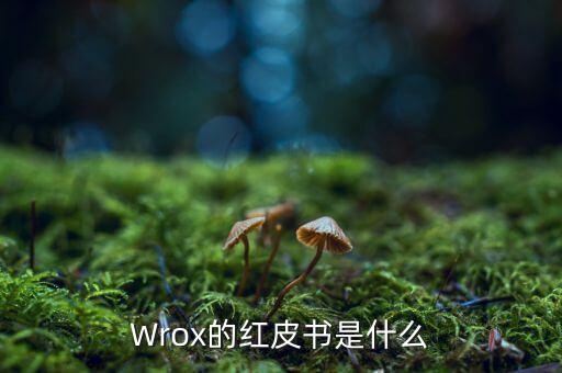 美國(guó)紅皮書(shū)是什么，藍(lán)皮書(shū)白皮書(shū)紅皮書(shū)是指什么