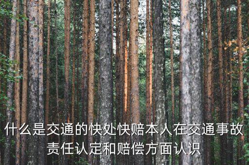 車險(xiǎn)快賠是什么，汽車快賠是什么意思