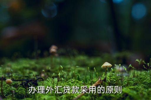 貸款三查指什么，銀行貸款三查不嚴能使貸款合同無效嗎