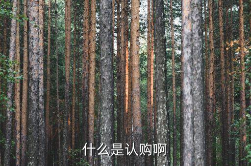 股票認購款是什么，什么是股票認購權