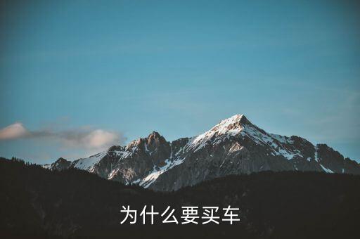小家庭為什么要買車，為什么要買車