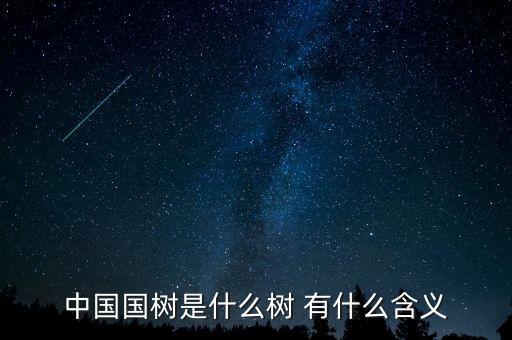 中國質(zhì)造是什么，中國國樹是什么樹 有什么含義