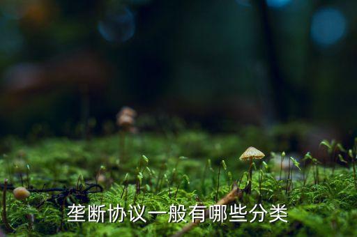 什么是縱向壟斷協(xié)議，壟斷協(xié)議一般有哪些分類