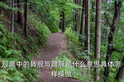 股票中的轉(zhuǎn)股與贈股是什么意思具體怎樣操做