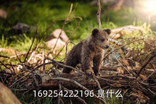 什么是服務(wù)商停用，為什么發(fā)郵件給自己的郵箱會出現(xiàn)收件人郵件地址被所在服務(wù)商暫時停