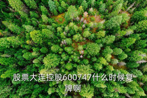 股票大連控股600747什么時候復牌啊