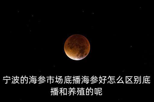 什么是底播海參，底播海參和非底播海參有什么區(qū)別