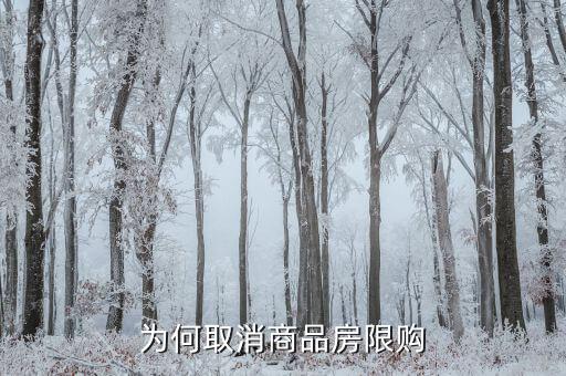 為什么要取消限購(gòu)，為何又要取消房屋限購(gòu)