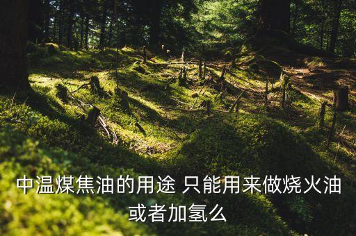 煤制油與煤焦油加氫有什么區(qū)別，焦油加氫改質(zhì) 加氫裂解有什么區(qū)別