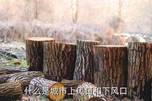 上風(fēng)口是什么意思，上風(fēng)口是什么意思