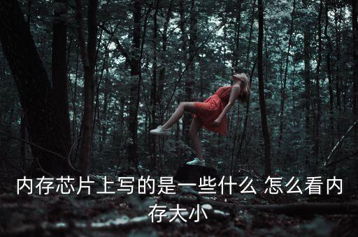 內(nèi)存芯片上寫(xiě)的是一些什么 怎么看內(nèi)存大小