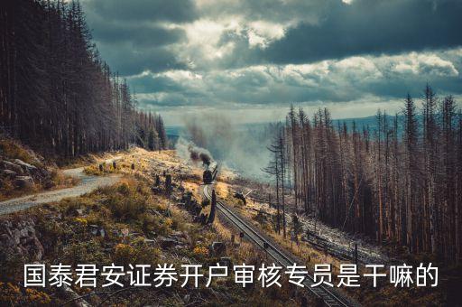 證券資料審核員干什么，審核員是做什么的怎么考考過(guò)了又怎么做是什么樣的一個(gè)過(guò)程呢