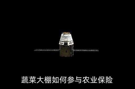 種大棚買保險(xiǎn)陪什么，蔬菜大棚入保險(xiǎn)請(qǐng)問(wèn)入哪一類保險(xiǎn)
