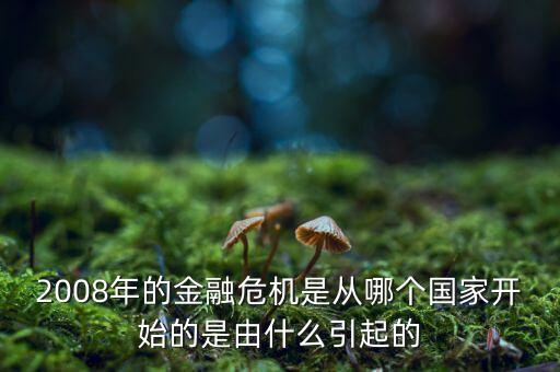 這一次的金融危機發(fā)端于什么，請問這次金融風(fēng)暴的起始是什么樣的具體的原因