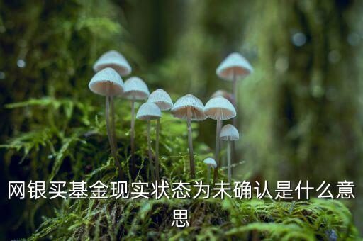 網(wǎng)銀買(mǎi)基金現(xiàn)實(shí)狀態(tài)為未確認(rèn)是什么意思