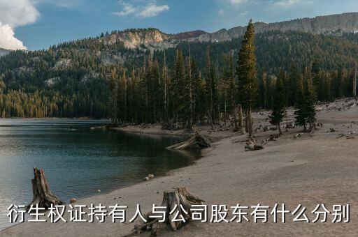 衍生權(quán)證是什么，衍生權(quán)證持有人與公司股東有什么分別
