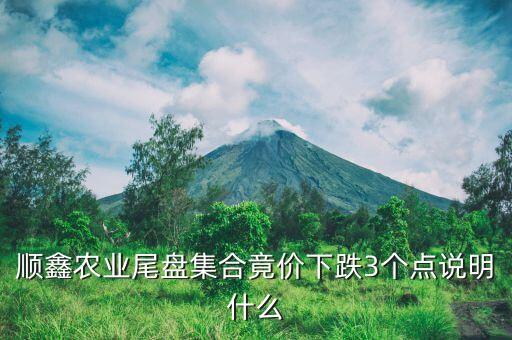 順鑫農(nóng)業(yè)尾盤(pán)集合竟價(jià)下跌3個(gè)點(diǎn)說(shuō)明什么