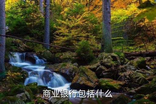 雨果獎(jiǎng)是什么，商業(yè)銀行包括什么