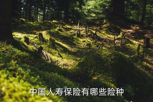 中國人壽有什么保險，中國人壽保險都有哪些險種