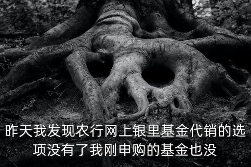 昨天我發(fā)現(xiàn)農(nóng)行網(wǎng)上銀里基金代銷(xiāo)的選項(xiàng)沒(méi)有了我剛申購(gòu)的基金也沒(méi)